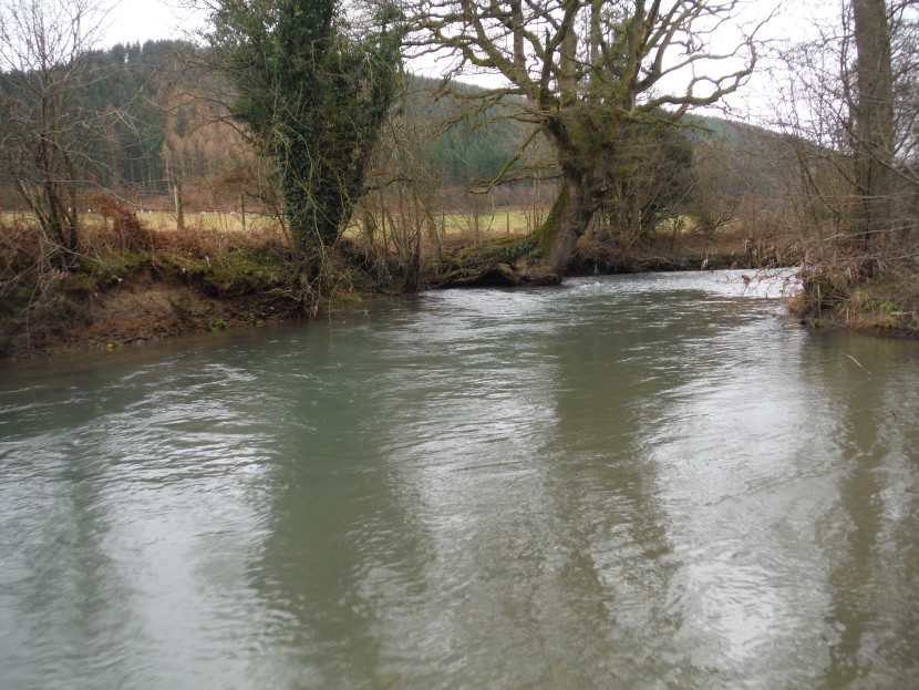 Lugg at Lyepole
